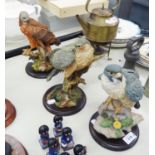 THREE BORDER FINE ARTS RESIN WILD BIRDS ON WOODEN PLINTH TO INCLUDE, REDKITE, PEREGRINE FALCON,