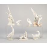 SEVEN LLADRO AND NAO bird models, varying sizes