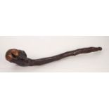 AN ANTIQUE IRISH SHILLELAGH OR ROOT CLUB THE TOP CARVED AND GREEN STAINED WITH A SHAMROCK, 22" LONG