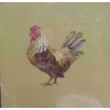 VICTORIAN PICTORIAL NEEDLEWORK TAPESTRY depicting a cockerel, 20" x 20" (50.8 x 50.8cm)