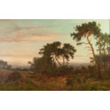 DANIEL SHERRIN (1864-1940) Oil painting on canvas The Edge of the Pine Woods, Surrey, signed lower