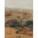 PERCY BROOKE (NINETEENTH/ TWENTIETH CENTURY) WATERCOLOUR DRAWING ?On Mellor Moors? Signed, titled to