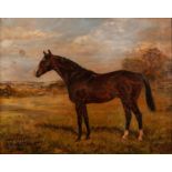 W.WASDELL TRICKETT (EARLY TWENTIETH CENTURY) OIL PAINTING ON CANVAS ?Carry Duff?, horse portrait