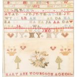 MID VICTORIAN WOOLWORK SAMPLER, numerical and alphabetical and with flowers and trees 'Mary Ann