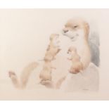 WILLIAM GELDART PENCIL AND WATERCOLOUR AN OTTER WITH THREE PUPS Signed lower right 12" x 14 1/4" (