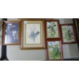 FIVE FRAMED AND GLAZED SMALL PICTURES