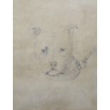 UNATTRIBUTED (EARLY TWENTIETH CENTURY) PENCIL DRAWING dog's head with lead unsigned, the mount