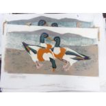 LESLIE. G. DAVIE (1909-1999) SIGNED LIMITED EDITION ARTIST PROOF COLOUR PRINT 'Shelduck' (2/12)