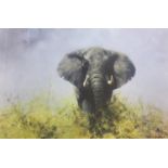 DAVID SHEPHERD ARTIST SIGNED LIMITED EDITION COLOUR PRINT Bull Elephant, 'Old Charlie', (518/850)