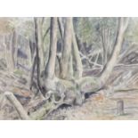 FRANK RUNACRES (1904-1974) WATERCOLOUR DRAWING 'Woodland' unsigned, attributed and titled to The Tib