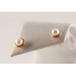 PAIR OF 9ct GOLD STUD EARRINGS, each with a cultured pearl in a cup setting, in case, 2gms gross