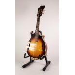 ANTONIOTSAI MODERN EIGHT STRING SCROLL TOP MANDOLIN, with mother of pearl inlay, the back, neck