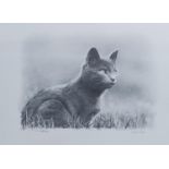 MARC GRIMSHAW Artist signed limited edition black and white prints Cat, a large number identical