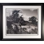 JOHN SWANNELL (Modern) ARTIST SIGNED LIMITED EDITION BLACK AND WHITE PHOTOGRAPHIC PRINT 'Becky in