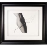 JOHN SWANNELL (b. 1946) ARTIST SIGNED LIMITED EDITIN PRINT 'Nude and Twig' Numbered 8/295 15 3/4"