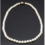 A single row cultured pearl necklace