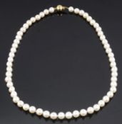 A single row cultured pearl necklace