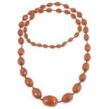 An Edwardian long string of large attractive facetted clear honey amber beads