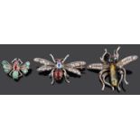 Three early 20th Century Continental 'bug' brooches