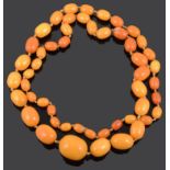 A long graduated butterscotch amber necklace