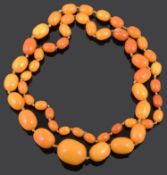 A long graduated butterscotch amber necklace