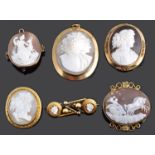 Six 19th Century carved shall cameo brooches