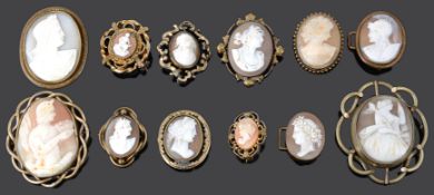 A collection of Victorian and later carved shell cameo brooches