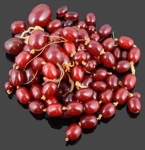 A collection of partly strung and loose cherry amber beads