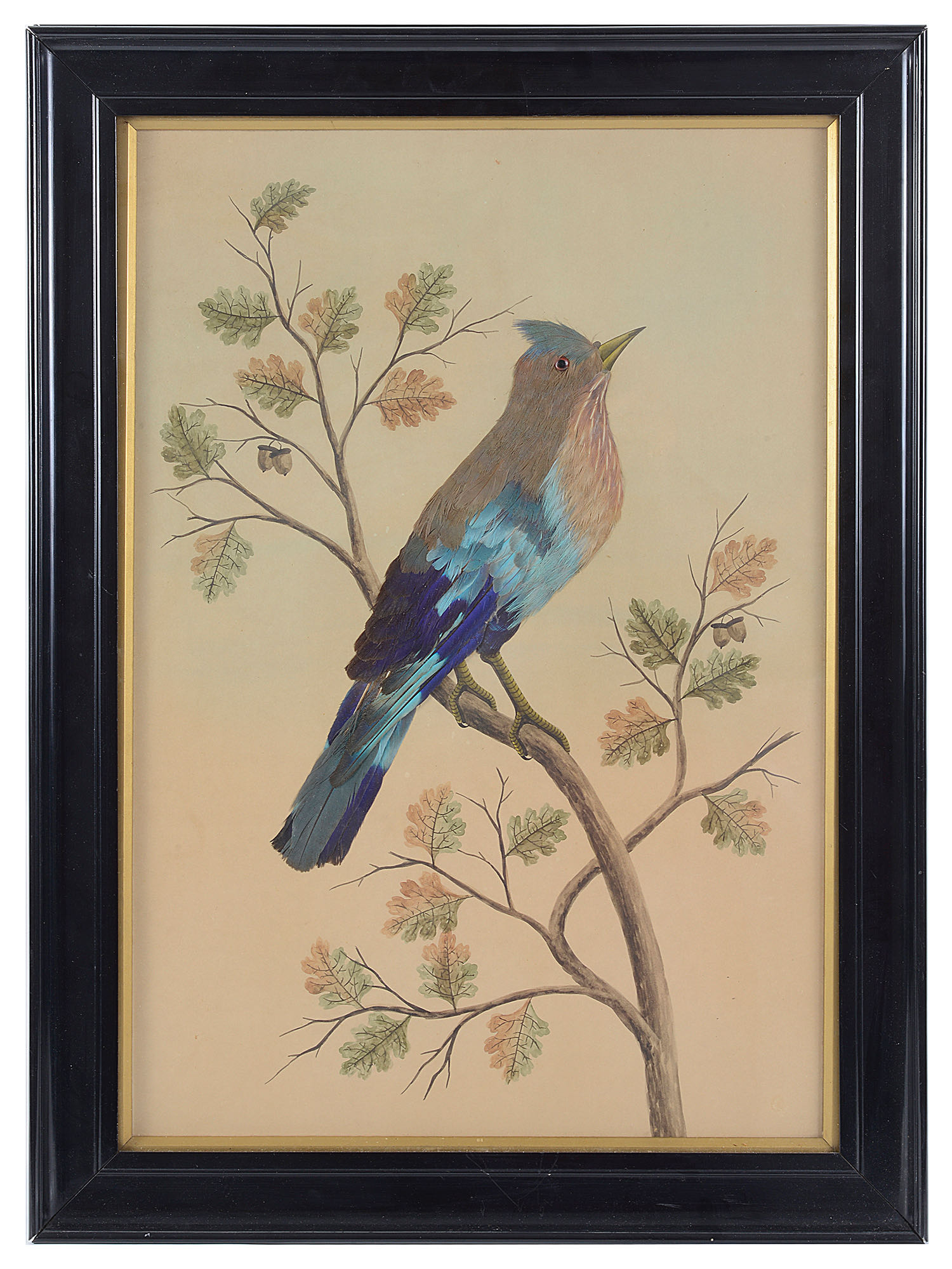 Early 19th century feather pictures of birds, framed (2) - Image 2 of 2