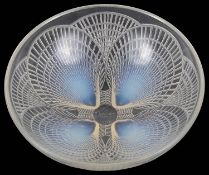 A Lalique ""Coquilles No 2"" semi opalescent glass bowl