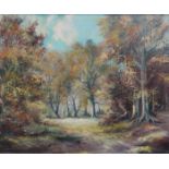 FRAMED OIL ON BOARD DEPICTING A WOODLAND SCENE, SIGNED (INDISTINCT),