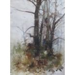 GEORGE THOMPSON FRAMED WATERCOLOUR DEPICTING A WOODLANDS SCENE - TREES AT BURTON MANOR.