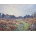 1908 SMALL FRAMED WATERCOLOUR DEPICTING PHEASANTS IN A COUNTRYSIDE SCENE, SIGNED S B CORBON(?),