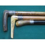 THREE VARIOUS SILVER MOUNTED HORN HANDLED WALKING STICKS