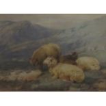 T S COOPER, SIGNED WATERCOLOUR- SHEEP IN MOUNTAIN SETTING, APPROXIMATELY 14.