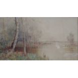 ALBERT PROCTOR, FRAMED AND GLAZED WATERCOLOUR- BIRCHES BESIDE THE LAKE, APPROXIMATELY 14.