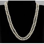 A two row cultured pearl necklace on a white metal clasp, L. 44cm.