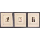 Three framed hand printed coloured engravings, framed size 33 x 40cm.