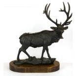 A bronze figure of a stag on an oak base, H. 48cm.