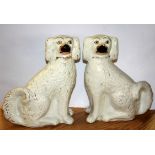 A pair of Victorian Staffordshire dogs, H. 32cm.