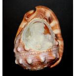 A carved shell cameo lamp shade, H. 17cm.