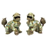 A pair of Chinese cloisonné enamel on bronze lion dog figures, H. 27cm.