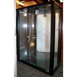 A contemporary glass fronted display cabinet with spotlight, 80 x 60 x 25cm.