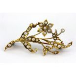 A 15ct yellow gold (stamped 15ct) spray brooch set with seed pearls, L. 4.5cm.