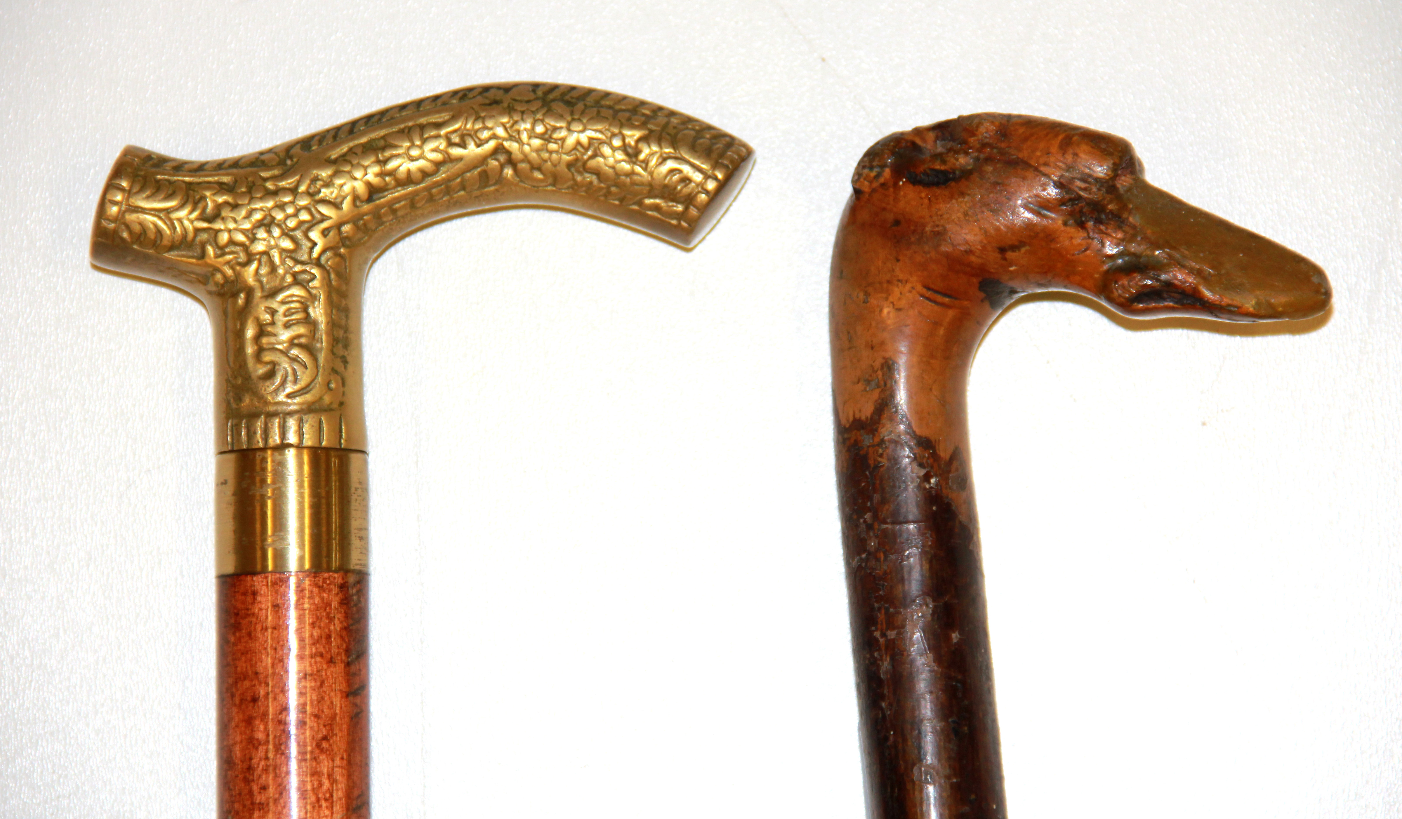 An interesting carved greyhound head walking stick and a modern brass handled walking stick