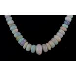 A polished opal bead graduated necklace on a white metal magnetic clasp, L. 43cm.