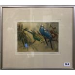 A framed artist's proof lithograph entitled 'Budgerigars', pencil signed Winifred Austen (English