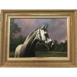 A gilt framed oil on canvas of a horse, framed size 78 x 57.5cm.