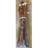 A quantity of miscellaneous walking sticks.