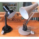 Two angle-poise lamps.